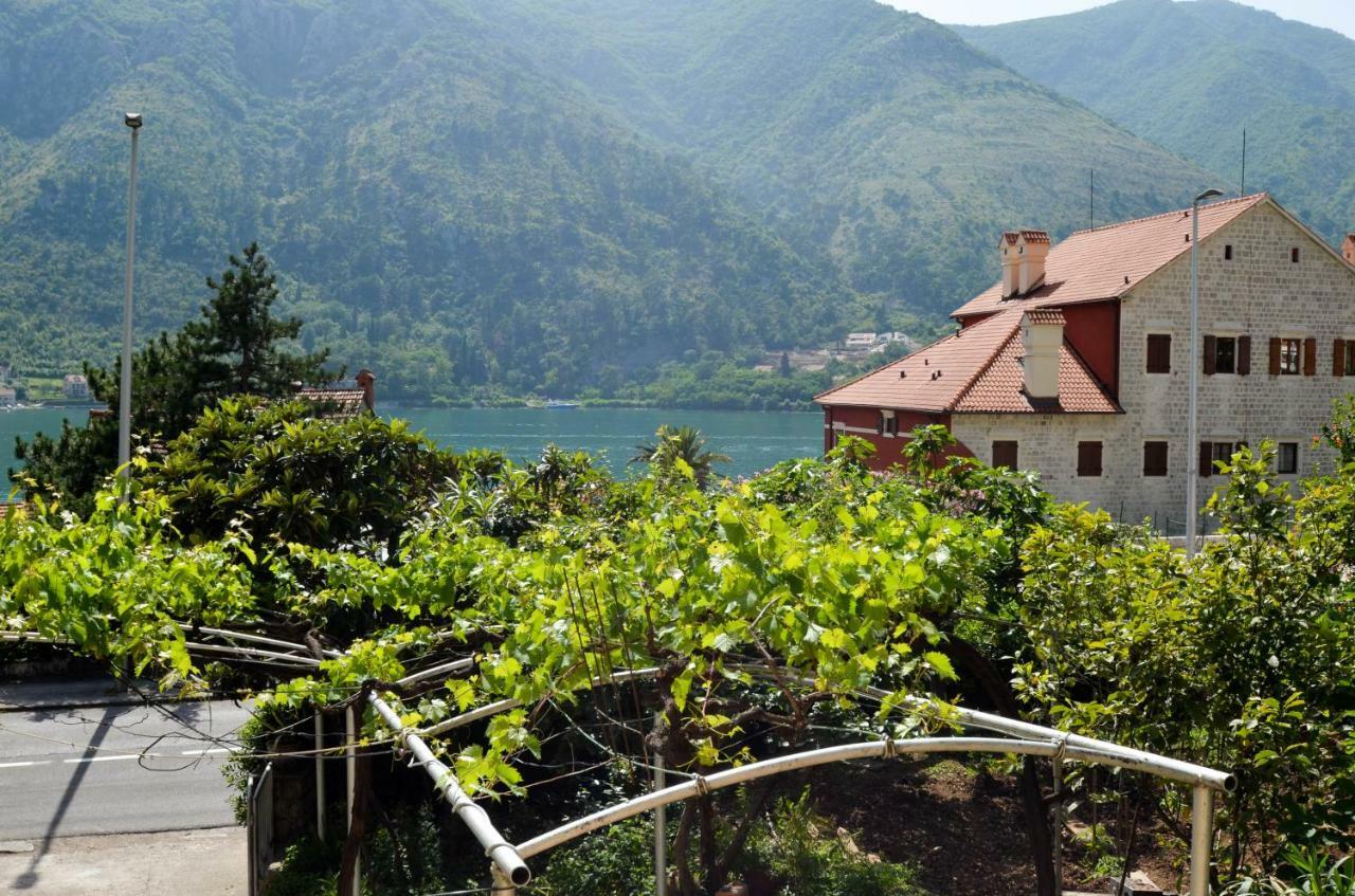 Apartments Nik Kotor Exterior photo